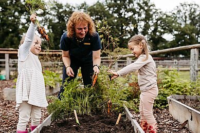 Zwei Kinder beim Pflegen des Gemüsegartens im Rahmen der Kinderbetreuung im Landhaus Averbeck in der Lüneburger Heide.