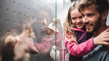 Vater bestaunt mit seiner Tochter auf dem Arm die Ausstellung in einem Museum in Südtirol.