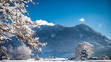 Malerische Landschaft im Winter im Allgäu. Der Tag ist sonnig und der Himmel blau. Im Hintergrund ist ein großer Berg.