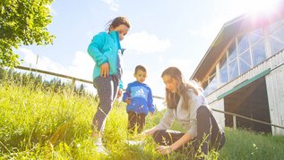Zwei Kinder entdecken gemeinsam mit einer Kinderbetreuerin die Natur rund um das Familienhotel Der Ponyhof in der Steiermark.