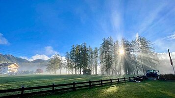 Morgensonne mit Nebel über einer Wiese rund um das Familienhotel Lärchenhof in Tirol