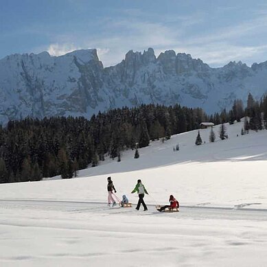 Eine Familie genießt eine Winterwanderung in den verschneiten Bergen, wobei zwei Personen Schlitten ziehen, auf denen Kinder sitzen, mit der majestätischen Kulisse des Latemar-Massivs im Hintergrund, eingetaucht in die Ruhe der idyllischen Winterlandschaft.