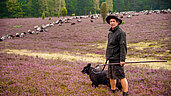 Ein Schäfer geht seinen Aufgaben nach und kümmert sich um seine Schafe in der Lüneburger Heide.