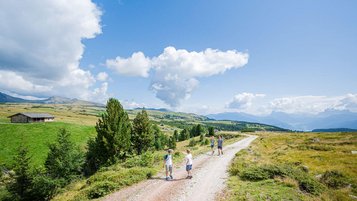 Familie wandern auf einer Forststraße durch die Südtiroler Bergwelt.