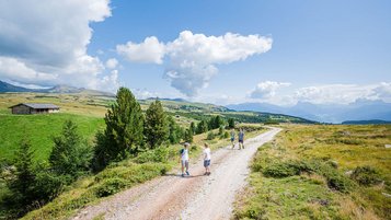 Familie wandern auf einer Forststraße durch die Südtiroler Bergwelt.