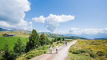 Familie wandern auf einer Forststraße durch die Südtiroler Bergwelt.