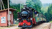 Ausflugstipp im Erzgebirge: Die berühmte Dampflock Fichtelbergbahn in Kretscham
