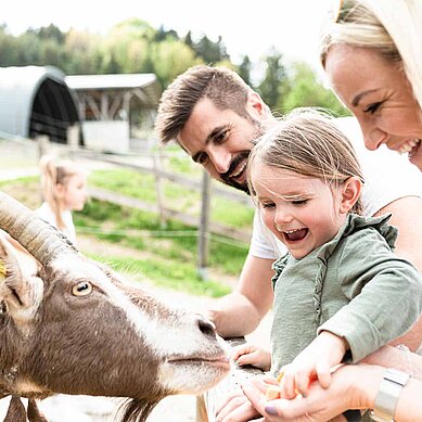 Tierischer Familienurlaub: Familie füttert Ziege, Mädchen lacht.