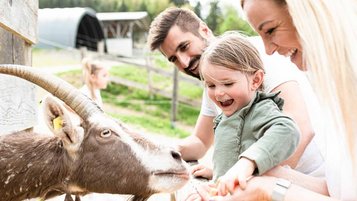 Tierischer Familienurlaub: Familie füttert Ziege, Mädchen lacht.