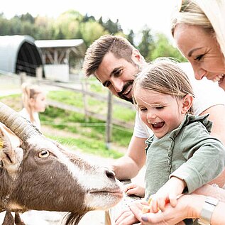 Tierischer Familienurlaub: Familie füttert Ziege, Mädchen lacht.