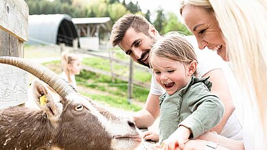 Tierischer Familienurlaub: Familie füttert Ziege, Mädchen lacht.