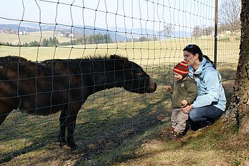 Mutter und Kind hinter einem Zaun füttern einen Esel im Kinderhotel Bruckwirt in Oberösterreich.