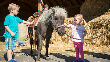 Ein Junge und ein Mädchen streicheln ein Pony auf dem Reiterhof des Familienhotels Schreinerhof im Bayerischen Wald.