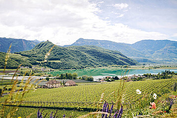 Wunderschöner Ausblick auf ein Panorama bestehend aus Bergen, See und Wald. Südtirol punktet mit seiner Natur im Familienurlaub im Sommer.