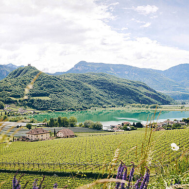 Wunderschöner Ausblick auf ein Panorama bestehend aus Bergen, See und Wald. Südtirol punktet mit seiner Natur im Familienurlaub im Sommer.