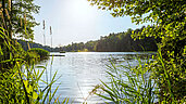 Der Eginger See im Bayerischen Wald erstrahlt bei Sonnenschein.