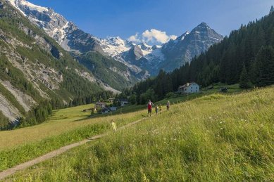 Eine Familie geht in der Natur Wandern.