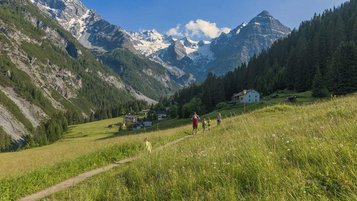 Eine Familie geht in der Natur Wandern.