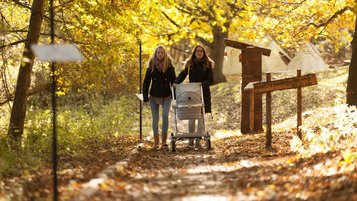 Zwei Frauen schieben im Herbst auf einem Waldweg bei Borchard’s Rookhus an der Mecklenburgischen Seenplatte einen Kinderwagen durch buntes Laub und warmes Sonnenlicht.