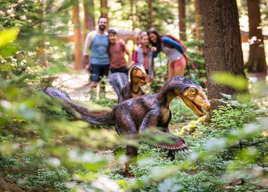 Dinosaurier Museum Altmühltal Aktionscode 