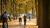 Ausflugstipps im Münsterland: Die "Promenade" rund um die Altstadt von Münster ist Fußgängern und Radfahrern vorbehalten. Im Herbstlicht zeigt sich die Stadt besonders farbenfroh.