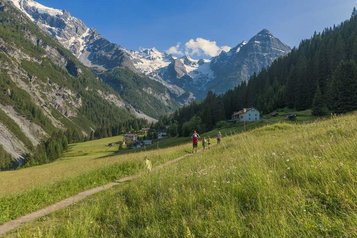 Eine Familie geht in der Natur Wandern.
