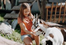 Ein Mädchen sitzt im Außenbereich des Familienhotels Oberkarteis im Salzburger Land im Streichelzoo bei Ziegen und streichelt die Tiere.