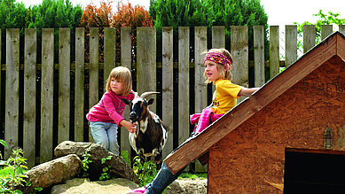 Kinder streicheln eine Ziege im Ottonenhof.