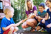 Drei Kinder besuchen gemeinsam mit einer Kinderbetreuerin des Familienhotels Amiamo das Hasengehege und streicheln und füttern die Tiere.