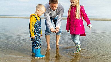 Ja, an der Ostsee im Familien Wellness Hotel Seeklause kannst du auf die Suche nach Muscheln gehen am Strand.