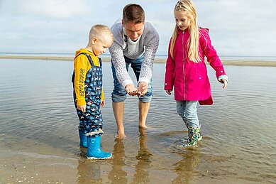 Ja, an der Ostsee im Familien Wellness Hotel Seeklause kannst du auf die Suche nach Muscheln gehen am Strand.