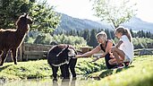 Eine Mutter ist mit ihrer Tochter im Lama-Gehege und füttert die Tiere mit Apfelspalten im Familienhotel Alphotel Tyrol Wellness & Family Resort in Südtirol.