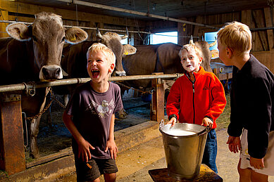 Die Kinder haben spaß im Stall bei den Kühen im Familienhotel Sonne Bezau Vorarlberg.
