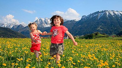Zwei Kinder laufen über eine Wiese voller Löwenzahn vor der Alpenkulisse im Allgäu.