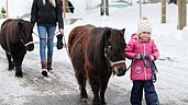 Geführte Winter-Ponywanderung im Familienhotel Elldus Resort im Erzgebirge