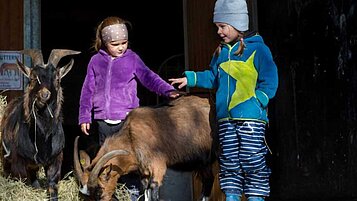 Kinder streicheln und verfüttern Gras an die Ziegen im Familienhotel Ulrichhof im Bayerischen Wald