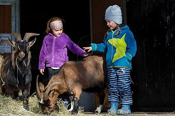 Kinder streicheln und verfüttern Gras an die Ziegen im Familienhotel Ulrichhof im Bayerischen Wald