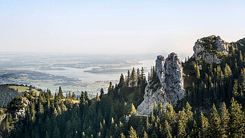 Niederbayern erleben: Herrliche Landschaft mit Steinfelsen im Wald und im Hintergrund majestätische Berge.
