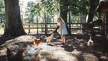 Kleines Mädchen füttert die Hühner auf dem Freigelände des Familienhotels Landhaus Averbeck in der Lüneburger Heide.