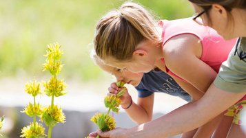 Familie bei einer Kräuterwanderung im Schwarzwald.