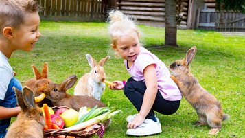 Zwei Kinder sitzen mit einem Gemüsekorb im Hasengehege und füttern die Tiere im Familienhotel Alphotel Tyrol Wellness & Family Resort in Südtirol.