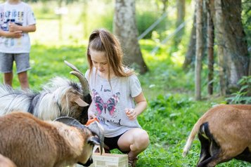 Mädchen streichelt Ziegen im Kleintierbereich des Familienhotels Bruckwirt in Oberösterreich.