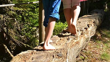 Zwei Kinder laufen barfuß über einen Holzstamm im Waldkinderclub des Familienhotels Landhaus zur Ohe im Bayerischen Wald.