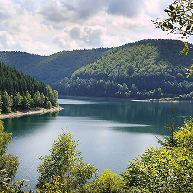 Thüringer Wald im Sommer: Blick auf die Schönbrunn Talsperre. Der große See ist umringt von grünem Wald.