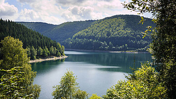 Thüringer Wald im Sommer: Blick auf die Schönbrunn Talsperre. Der große See ist umringt von grünem Wald.