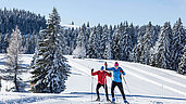 Der Schwarzwald ist ein beliebtes Winterreiseziel und bietet viele Möglichkeiten für Skilanglauf. Besonders im Hochschwarzwald finden Langläufer gut präparierte Loipen und eine herrliche Winterlandschaft vor.