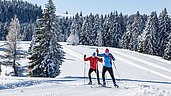 Der Schwarzwald ist ein beliebtes Winterreiseziel und bietet viele Möglichkeiten für Skilanglauf. Besonders im Hochschwarzwald finden Langläufer gut präparierte Loipen und eine herrliche Winterlandschaft vor.