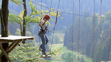 Ein Hochseilgarten für die ganze Familie in der Nähe vom Familienhotel Sonnenpark im Sauerland