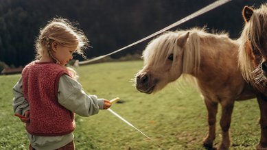 Ein Mädchen füttert ein Pony mit einer Möhre.