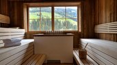 Biosauna mit Aussicht auf die Landschaft im Familienhotel Galtenberg Family & Wellness Resort in Tirol.